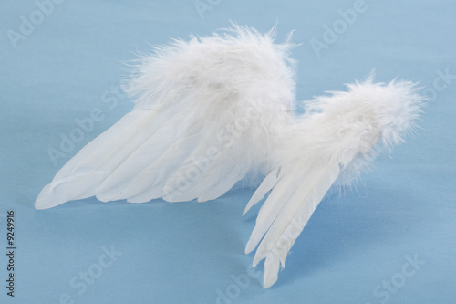 Photo: Angel wings Angel wings
