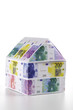 Single house of Euro notes