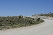 Desert Road