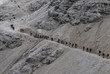la processione