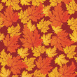 autumn leaves