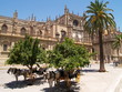 Seville Cathedral