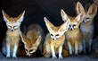 Fennec