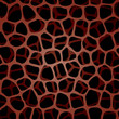 Seamless Texture