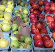 Apples and Pears and Nectarines Apples and Pears and Nectarines