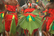 carnaval guadeloupe carnaval guadeloupe