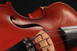 Close-up of a violon Close-up of a violon