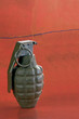 Hand Grenade