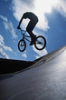 free rider