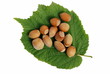 Photo : Noisettes 4 Noisettes 4