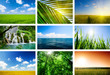 summer lanscapes collage