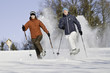 Spass im Schnee mit Schneeschuhen
