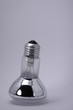 ampoule debout