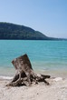 souche d'arbe et lac