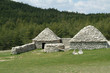bergerie