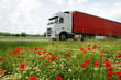 LKW vor Wiesenblumen