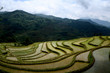 Rizières chinoise (Yunnan - Chine) Rizières chinoise (Yunnan - Chine)