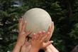 hands holding ball