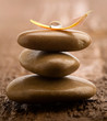 Pile of brown massage stones on wooden background