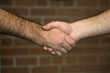 A firm handshake over a brick wall backdrop.