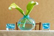 An image of a modern upscale table centerpiece