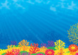 Coral reef