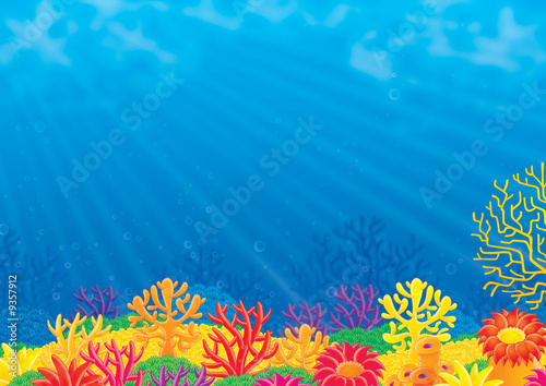 Coral Reef