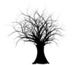 vecteur série, silhouette d'un vieil arbre nu - old vector tree