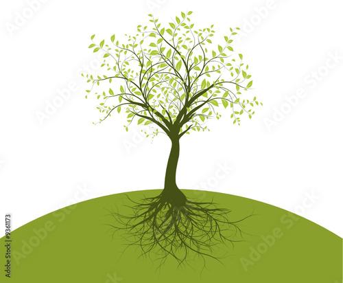 vecteur série - arbre et racines vectorielles sur vert et blanc