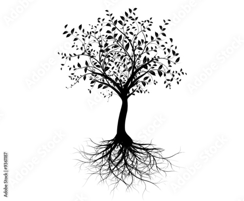 tree roots drawing. vector tree with roots