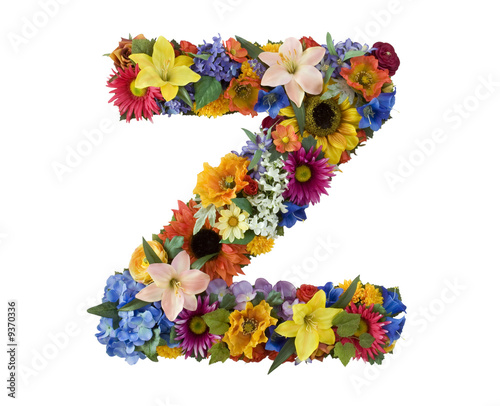 z alphabet. Flower Alphabet - Z