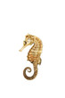 Sea horse