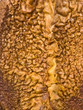 Makro-Struktur