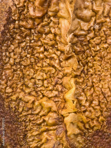 Photo: Makro-Struktur Makro-Struktur
