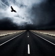 A bird flies away from an incoming storm