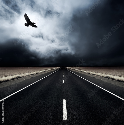 Photo: A bird flies away from an incoming storm A bird flies away from an incoming storm
