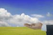 Foto: Upside hand concept in a spring landscape many uses concept Upside hand concept in a spring landscape many uses concept