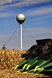 Photo: The Tractor - modern farm equipment in field The Tractor - modern farm equipment in field