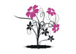 bouquet floral