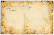 Illustration: A 100 year old postcard with a floral design. A 100 year old postcard with a floral design.