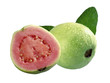 guava