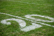 20 Yard Line - American Footbal