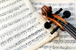 Violin