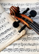 Violin