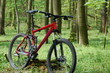 classic mountainbike which is often used in sports.