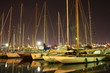 Antibes harbor by night