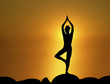 Sun Salutation 3