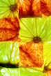 Citrus Cubes