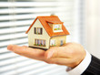 The house in human hands