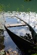 barque qui coule dans un marais